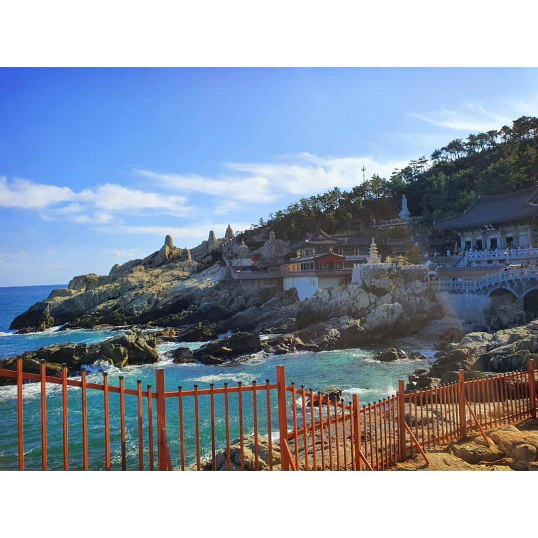 エイミー・ヤンさんのインスタグラム写真 - (エイミー・ヤンInstagram)「Haedong Yonggung temple. Amazing place🙏 #해동용궁사 #busan #southkorea」11月1日 23時39分 - amyyanglpga