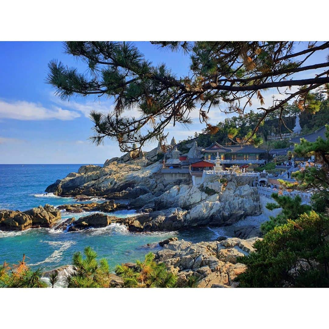 エイミー・ヤンさんのインスタグラム写真 - (エイミー・ヤンInstagram)「Haedong Yonggung temple. Amazing place🙏 #해동용궁사 #busan #southkorea」11月1日 23時39分 - amyyanglpga