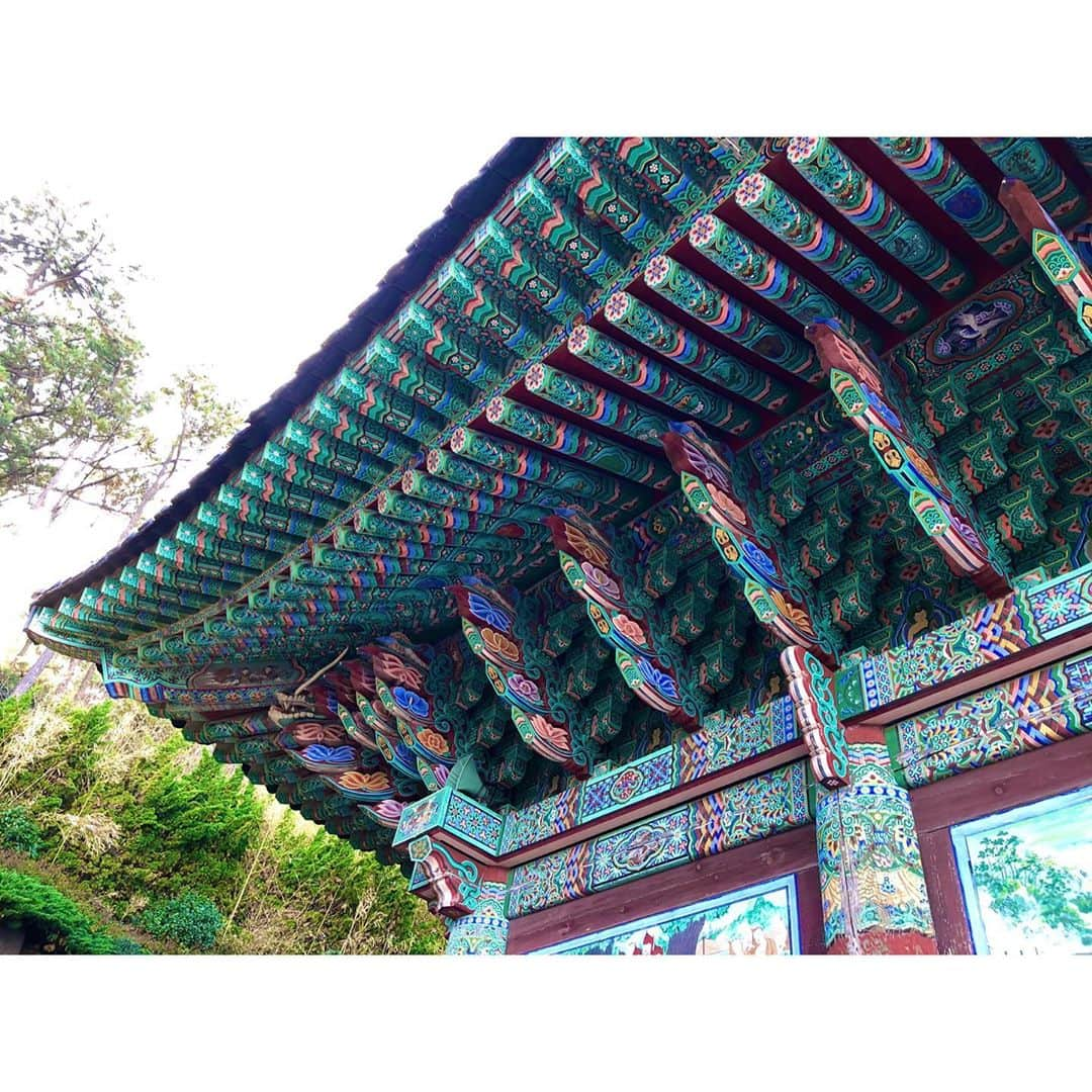 エイミー・ヤンさんのインスタグラム写真 - (エイミー・ヤンInstagram)「Haedong Yonggung temple. Amazing place🙏 #해동용궁사 #busan #southkorea」11月1日 23時39分 - amyyanglpga