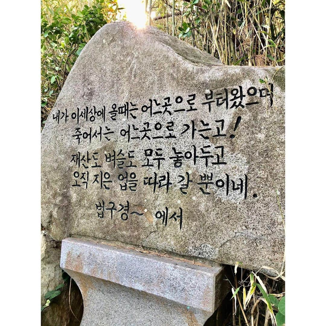 エイミー・ヤンさんのインスタグラム写真 - (エイミー・ヤンInstagram)「Haedong Yonggung temple. Amazing place🙏 #해동용궁사 #busan #southkorea」11月1日 23時39分 - amyyanglpga