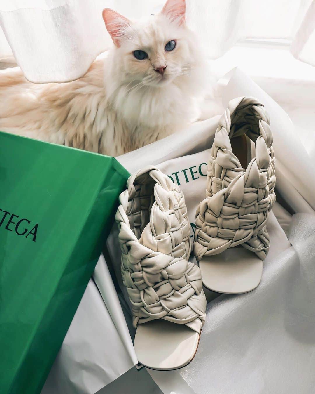 Ruby Kwanのインスタグラム：「Yes, you all voted for white instead of beige. I heard you. 🤍🤍🤍 @BottegaVeneta BV Board Sandals in shinny Intrecciato Nappa leather & Wax colour. ✨✨✨ #bottegaveneta #newbottega #rougeclosetunboxing」
