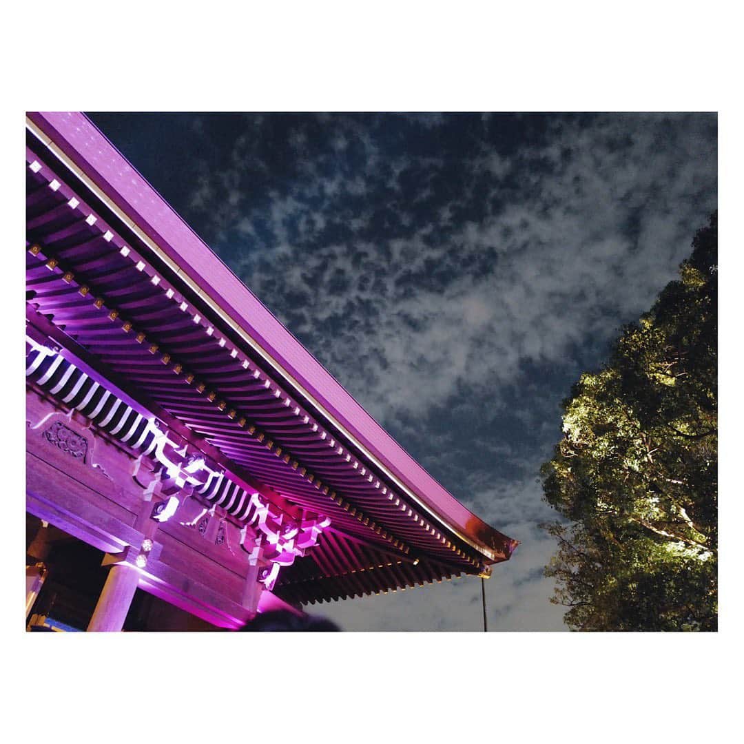 のインスタグラム：「明治神宮鎮座百年祭　夜間特別参拝🌕  鬱蒼と生い茂る明治神宮の社 100年前にこの100年後の今を見越して 植物が植えられたそう。 という当時の壮大なプロジェクトを想いながら ライトアップされた境内を歩いてきました🌳  その時を迎えて 記念すべき時に参拝できて良かった✨  #明治神宮 #明治神宮百年祭 #参拝 #今度は中のカフェでお茶したい☕️」