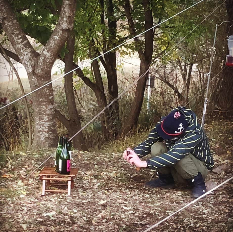 ひぐち君さんのインスタグラム写真 - (ひぐち君Instagram)「こんな感じで撮ってます📷 #sparkle 2019 #sauvignonblanc  #黒髪山葡萄園  #岡山県　#新見市  #ヒトミワイナリー #信天翁　2018 #koshu  #楽園葡萄酒醸造場  #山梨県　#市川三郷町  #和ん田　2019 #亀ヶ森醸造所  #岩手県　#花巻市 #muscatbaileya 2017 #敷島醸造 #甲斐市 #overture  #cabernetsauvignon  #cabernetfranc  #merlot  #petitverdot  #malbec  #opusone  #usa #napavalley  #wineexpert  #tokyo  #camp」11月2日 0時22分 - higehiguchi