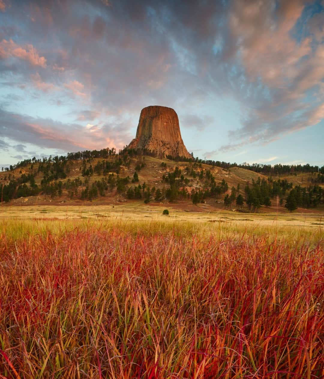 アメリカ内務省さんのインスタグラム写真 - (アメリカ内務省Instagram)「From the Seminole people of the Everglades to the Athabascans who gave Denali its name, Native Americans have important connections to public lands across the country. To celebrate National Native American Heritage Month, we're featuring parks, refuges and historic sites that help us appreciate these nations, their history, perspectives, cultures and contributions. Devils Tower National Monument in #Wyoming – known by names like "Bear Lodge" and "Bear's Tipi" and sacred to Northern Plains Tribes – is a powerful place to experience the oral tradition of origin stories and learn about the relationships between this rocky sentinel and people from thousands of years ago to the present day. Photo @DevilsTowerNPS by Brian Truono (www.sharetheexperience.org). #DevilsTower #usinterior #NativeAmericanHeritageMonth」11月2日 0時55分 - usinterior