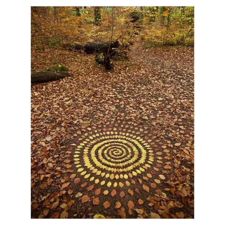 のインスタグラム：「What a beautiful season  ✨🍂🍁✨ Photo from @pinterest」