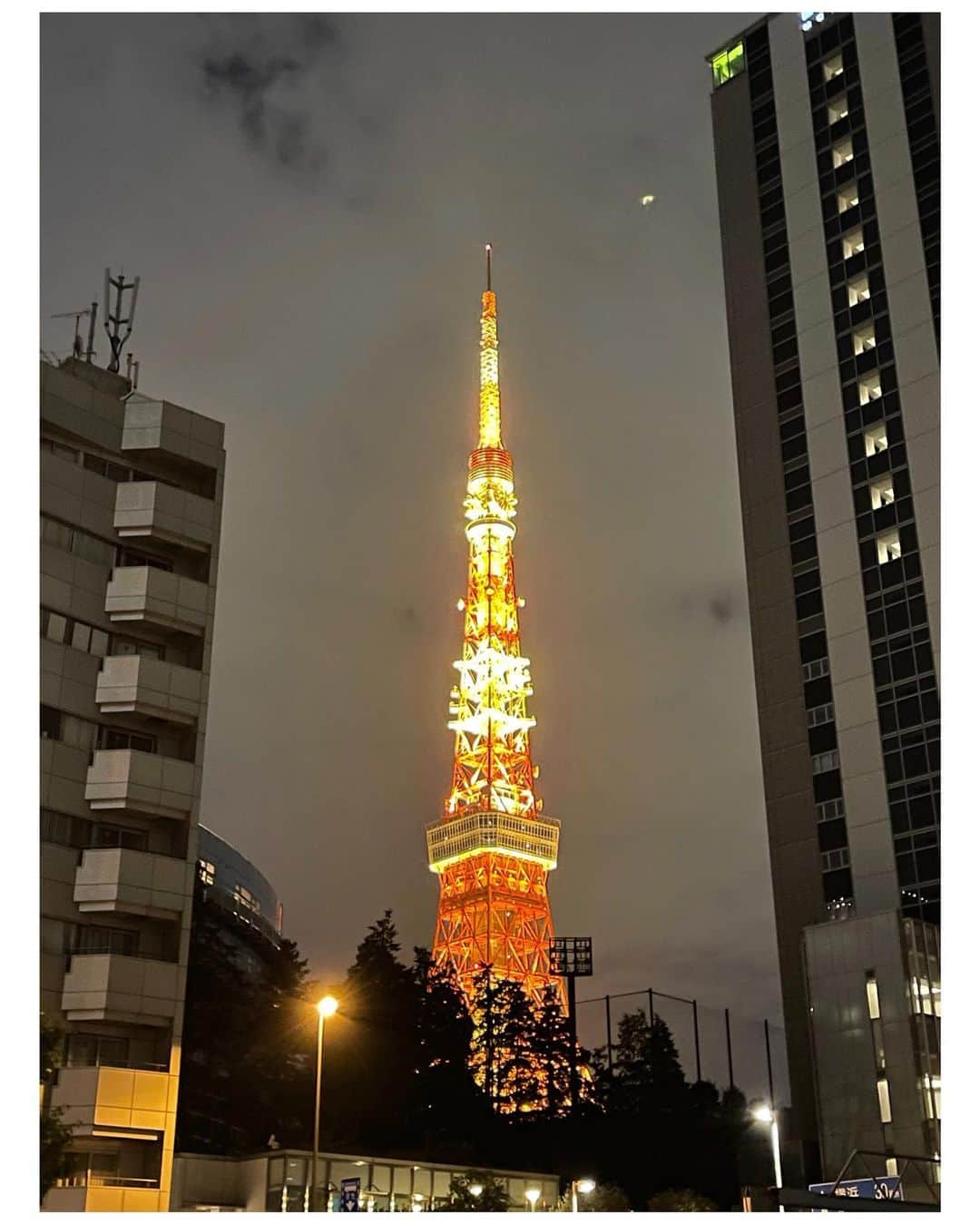 M'sブライダルさんのインスタグラム写真 - (M'sブライダルInstagram)「今夜の東京タワー🗼 #東京タワー #夜景 #11月1日 #天赦日 #パワースポット #良縁 #婚活#お見合い#結婚#セレブ#エムズブライダルジャパン🌺」11月2日 1時25分 - msbridal_pr