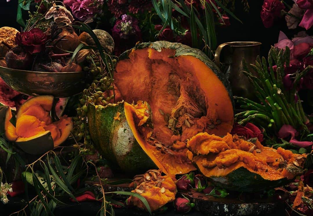 マリオ・テスティーノのインスタグラム：「Pumpkin in the process of decay. The day after Halloween 🎃 A special thanks to @silvia_degr _ Calabaza en descomposición. El día después de Halloween 🎃 Un agradecimiento especial a @silvia_degr  #Pumpkin #ABeautifulWorld #Colombia #MarioTestino」