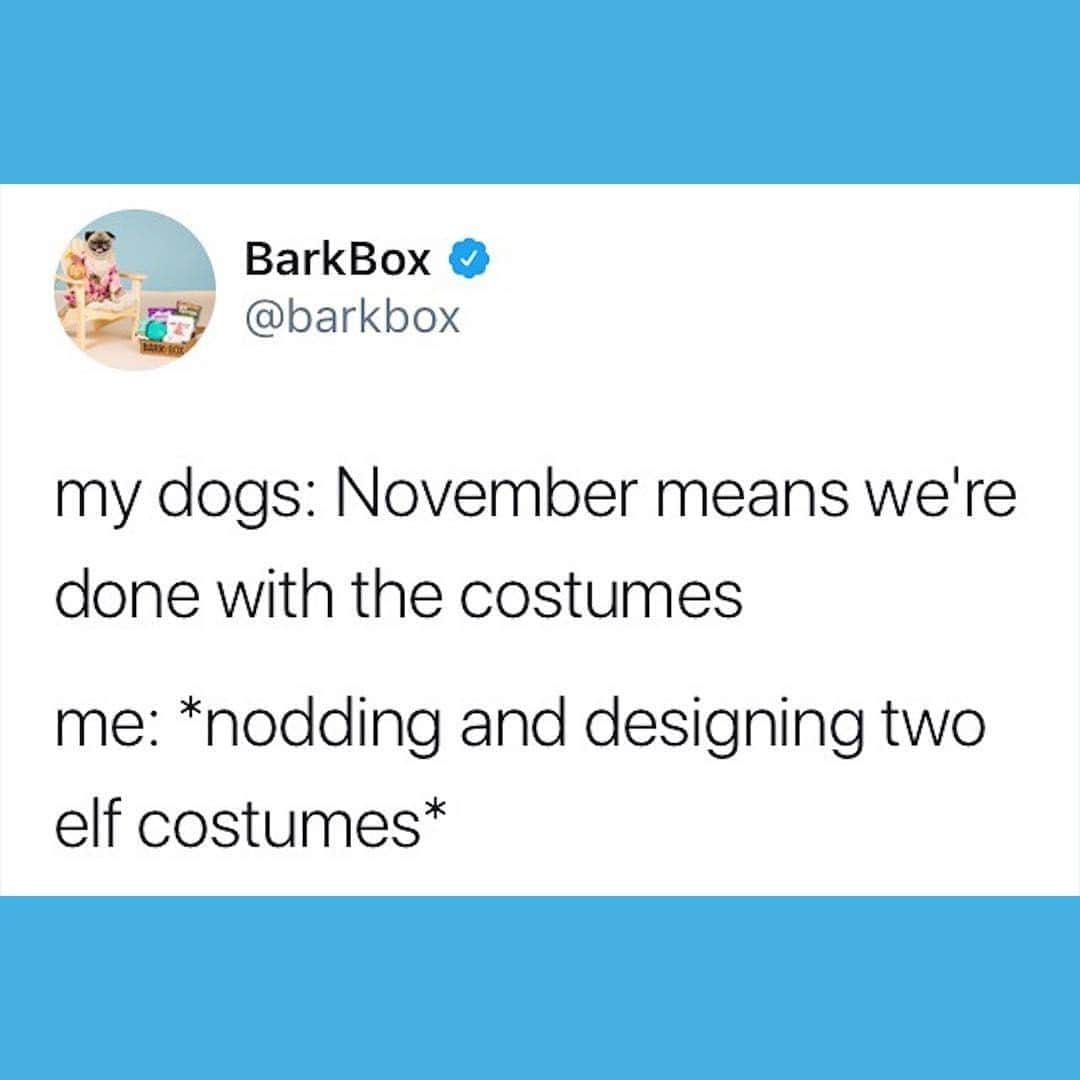 BarkBoxさんのインスタグラム写真 - (BarkBoxInstagram)「November means we're done with *Halloween* costumes, honey」11月2日 1時45分 - barkbox