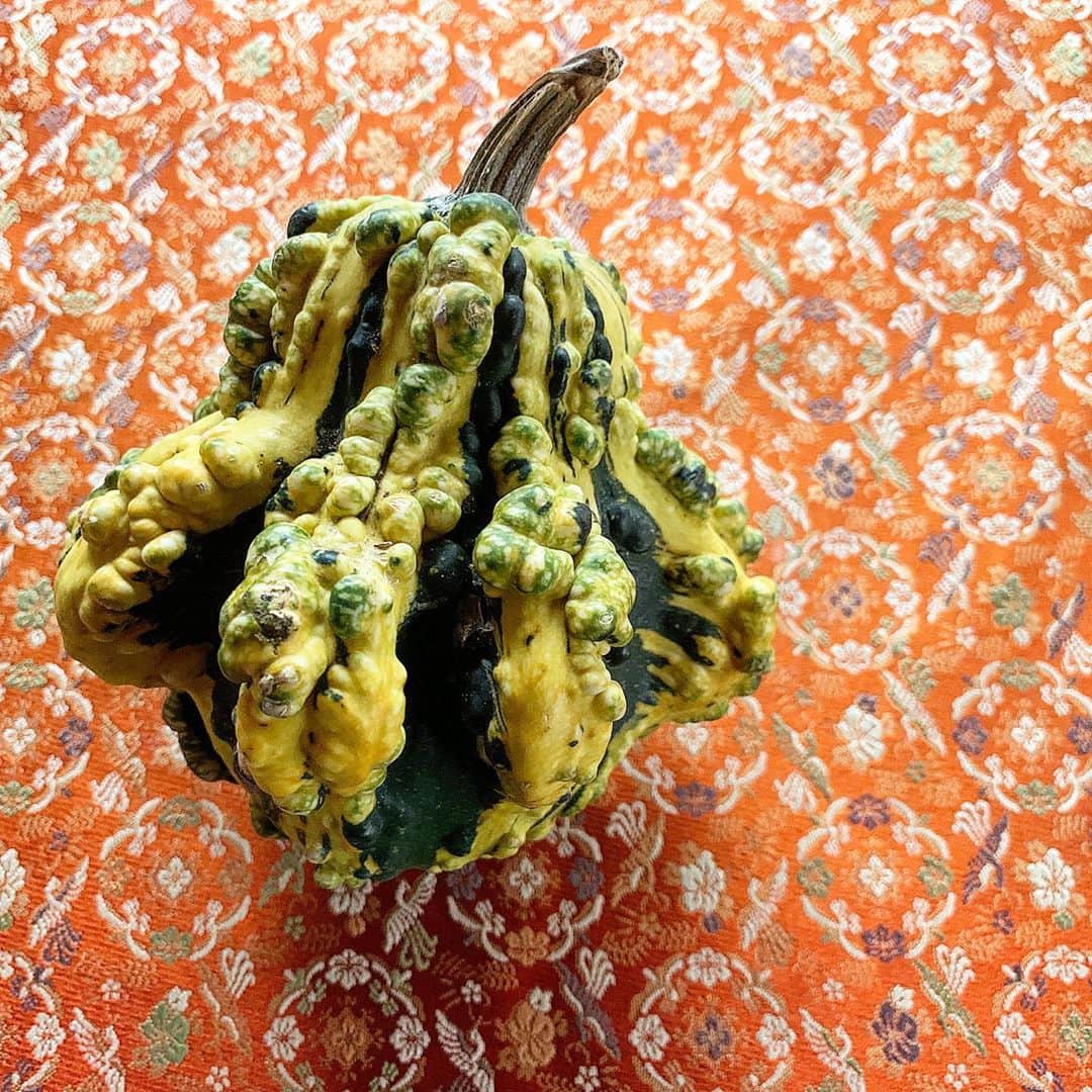Monday満ちるさんのインスタグラム写真 - (Monday満ちるInstagram)「Why am I fascinated by gourds...? #happyhalloween」11月2日 1時55分 - mondaymichiru