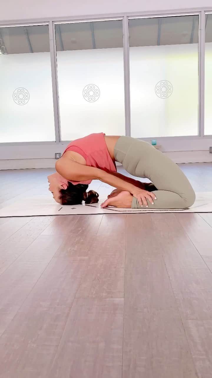 キノ・マクレガ―のインスタグラム：「Backbends are as much about strength as they are about flexibility. Learn how to build stability in your legs and you will feels after and be able to safely go deeper. But if you lose the foundational core strength, backbends can feel unsafe and stiff. _ Last chance, just 11 hours left, to sign up for the early bird special for my second series immersion next weekend on @omstarsofficial  Link in bio with all the details to sign up. _ #yoga #secondseries #ashtanga #laghuvajrasana #yogatutorial #yogapractice #ashtangayoga #kinoyoga #yoga  🙏💕」