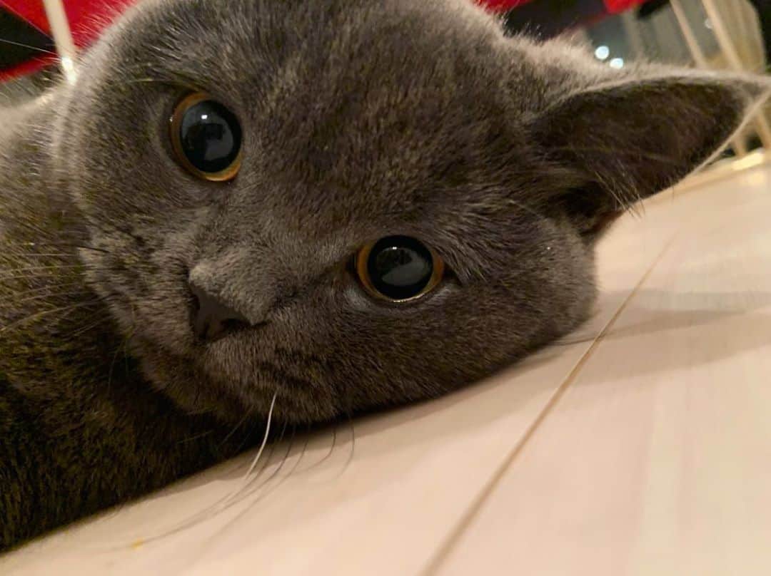 のインスタグラム：「尊い」