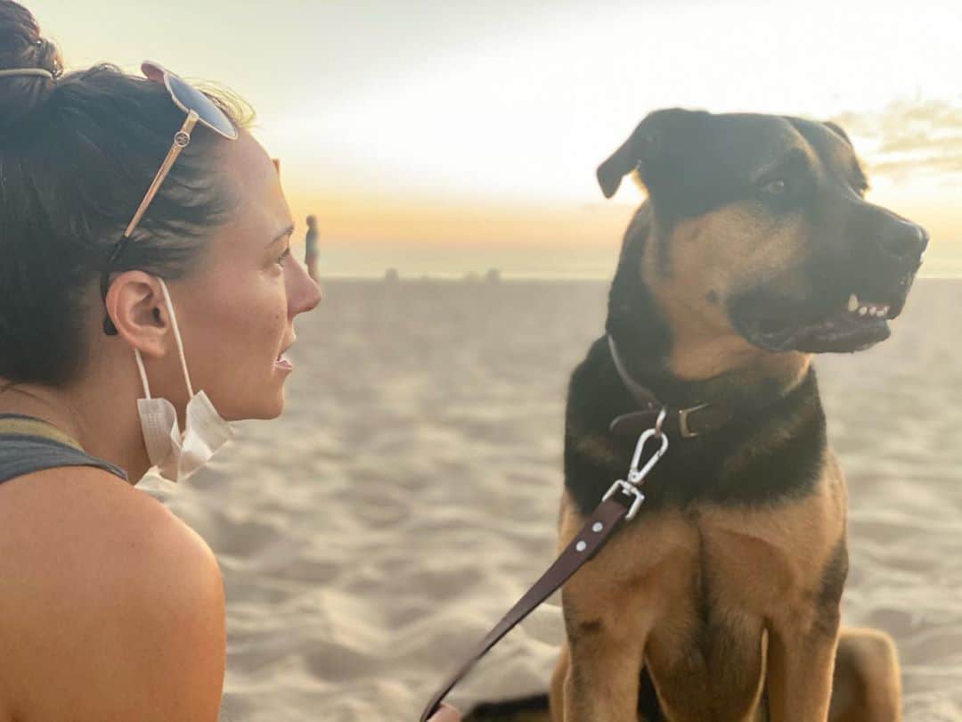 ブリアナ・エヴィガンのインスタグラム：「Little sunset time with one of my soul sisters @thekymjackson that is always in Austrialia these days. But we got to reunite and little prissy her pup is a feisty one but has a lot of love for Maxito her big brother. Today was a good day. 🧡 love you Kimmy. #streetdogs forever. We’re all one in the same.」