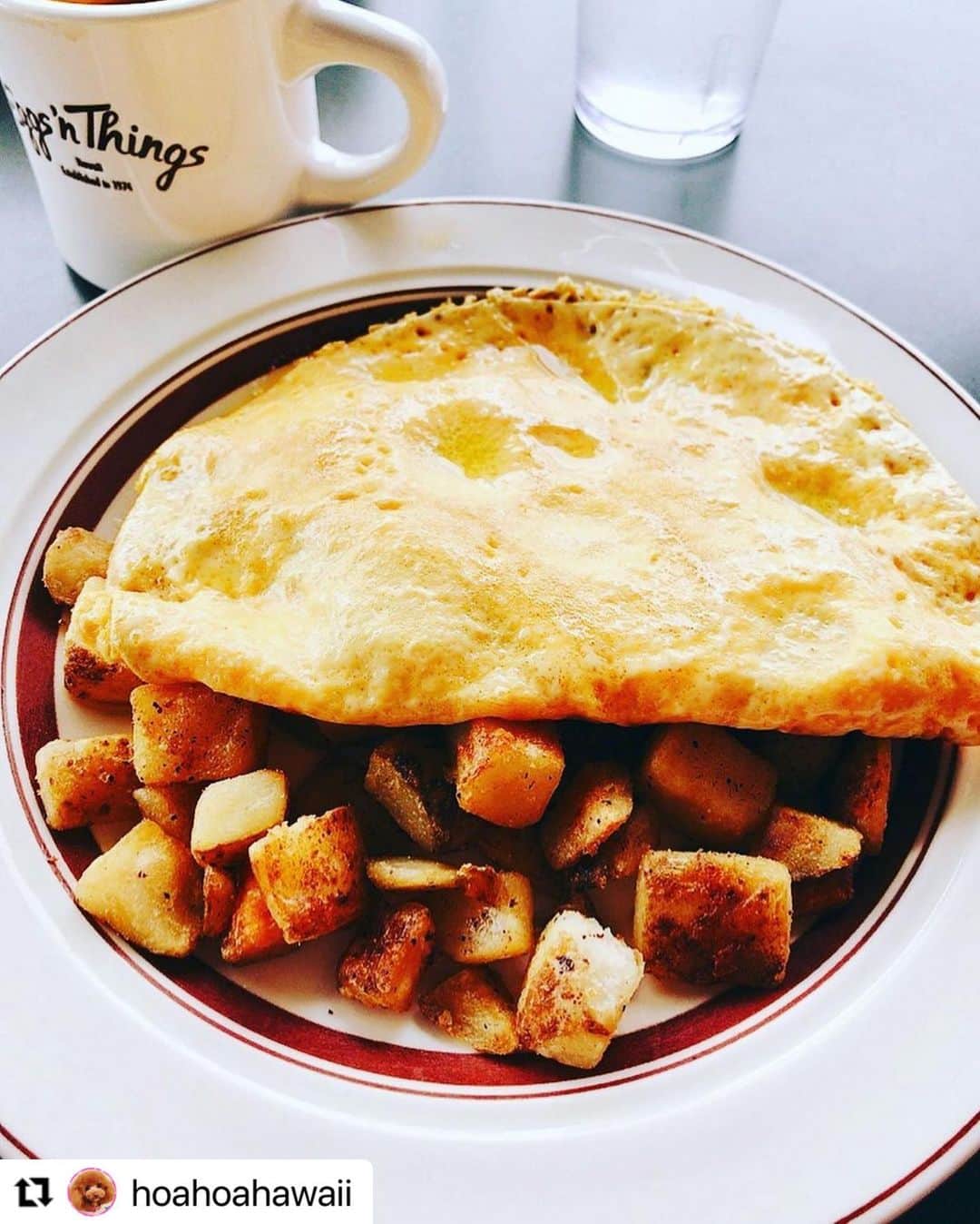 EGGS ’N THINGS JAPANさんのインスタグラム写真 - (EGGS ’N THINGS JAPANInstagram)「#Repost @hoahoahawaii 様  ご来店頂きましてありがとうございます😊  また、「 #アロハでエッグスン 」で素敵なお写真をご投稿頂きましてありがとうございます☀️🌈  ぜひ、また機会がございましたらEggs 'n Thingsでお過ごしください😆🏝  -------------- またまた大好きなお台場へ〜😁💓 ・ 毎週行ってるんとちゃう⁇ …ってくらい、よく行ってるよね😂💦 ・ 11／1からのイベント  「Vibes & Breeze of Hawaii ～ハワイの風とバイブを感じよう！～」  キャンペーンのひとつで、アロハを着てお店で食事すると、オリジナルドリンク🍹をプレゼントしてもらえるよ❣️😊💓 ・ こういうの大好きなホア家、しっかりホアもアロハ着用で行ってきました❣😁️👍🌺🐶 ・ 今日からの新メニュー✨コナティラミスパンケーキ🥞も、プレゼントのオリジナルドリンクも、めちゃ美味しかったよ😋💓‼️ ・ レイ・メイキング体験やフラ・ダンスショーも楽しそうだけど、ホア🐶が一緒だとテラス席しか入れないから、参加出来ないのが残念💔😭 ・ ・ みんなもテラス席が寒くならない今のうちに、 ぜひ行ってみてね❣️😉🥞🐶☕️ ・  #アロハでエッグスン #エッグスンシングスお台場店 #イベント #大好きな店 #ハワイ好き #ワンコとお出かけ #アロハシャツ #親子でアロハ #長袖の上に半袖🤣 #オリジナルドリンク #めちゃ美味しかった❤️ #ありがとう #頑張れ日本 #頑張れハワイ🌺 #頑張れエッグスンシングス #愛犬 #トイプードル #親バカ部 #dog  #cute #toypoodle #todayswanko #dogstagram #ig_dogphoto #all_dog_japan #east_dog_japan #dog_features #bestfriends_dogs」11月2日 13時57分 - eggsnthings_jp