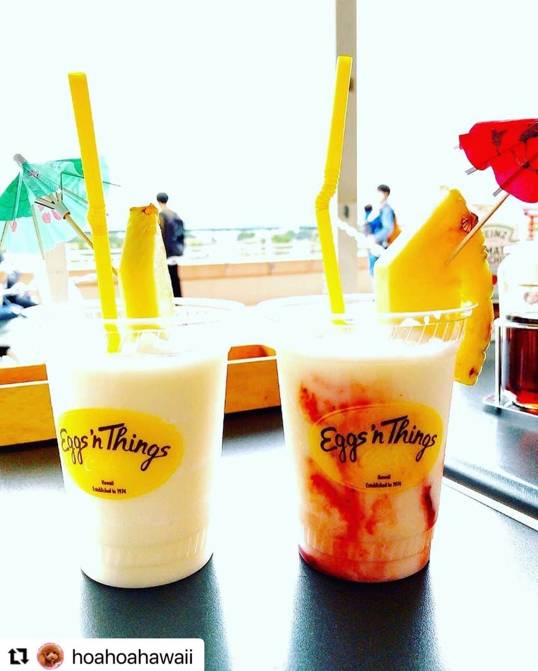 EGGS ’N THINGS JAPANさんのインスタグラム写真 - (EGGS ’N THINGS JAPANInstagram)「#Repost @hoahoahawaii 様  ご来店頂きましてありがとうございます😊  また、「 #アロハでエッグスン 」で素敵なお写真をご投稿頂きましてありがとうございます☀️🌈  ぜひ、また機会がございましたらEggs 'n Thingsでお過ごしください😆🏝  -------------- またまた大好きなお台場へ〜😁💓 ・ 毎週行ってるんとちゃう⁇ …ってくらい、よく行ってるよね😂💦 ・ 11／1からのイベント  「Vibes & Breeze of Hawaii ～ハワイの風とバイブを感じよう！～」  キャンペーンのひとつで、アロハを着てお店で食事すると、オリジナルドリンク🍹をプレゼントしてもらえるよ❣️😊💓 ・ こういうの大好きなホア家、しっかりホアもアロハ着用で行ってきました❣😁️👍🌺🐶 ・ 今日からの新メニュー✨コナティラミスパンケーキ🥞も、プレゼントのオリジナルドリンクも、めちゃ美味しかったよ😋💓‼️ ・ レイ・メイキング体験やフラ・ダンスショーも楽しそうだけど、ホア🐶が一緒だとテラス席しか入れないから、参加出来ないのが残念💔😭 ・ ・ みんなもテラス席が寒くならない今のうちに、 ぜひ行ってみてね❣️😉🥞🐶☕️ ・  #アロハでエッグスン #エッグスンシングスお台場店 #イベント #大好きな店 #ハワイ好き #ワンコとお出かけ #アロハシャツ #親子でアロハ #長袖の上に半袖🤣 #オリジナルドリンク #めちゃ美味しかった❤️ #ありがとう #頑張れ日本 #頑張れハワイ🌺 #頑張れエッグスンシングス #愛犬 #トイプードル #親バカ部 #dog  #cute #toypoodle #todayswanko #dogstagram #ig_dogphoto #all_dog_japan #east_dog_japan #dog_features #bestfriends_dogs」11月2日 13時57分 - eggsnthings_jp