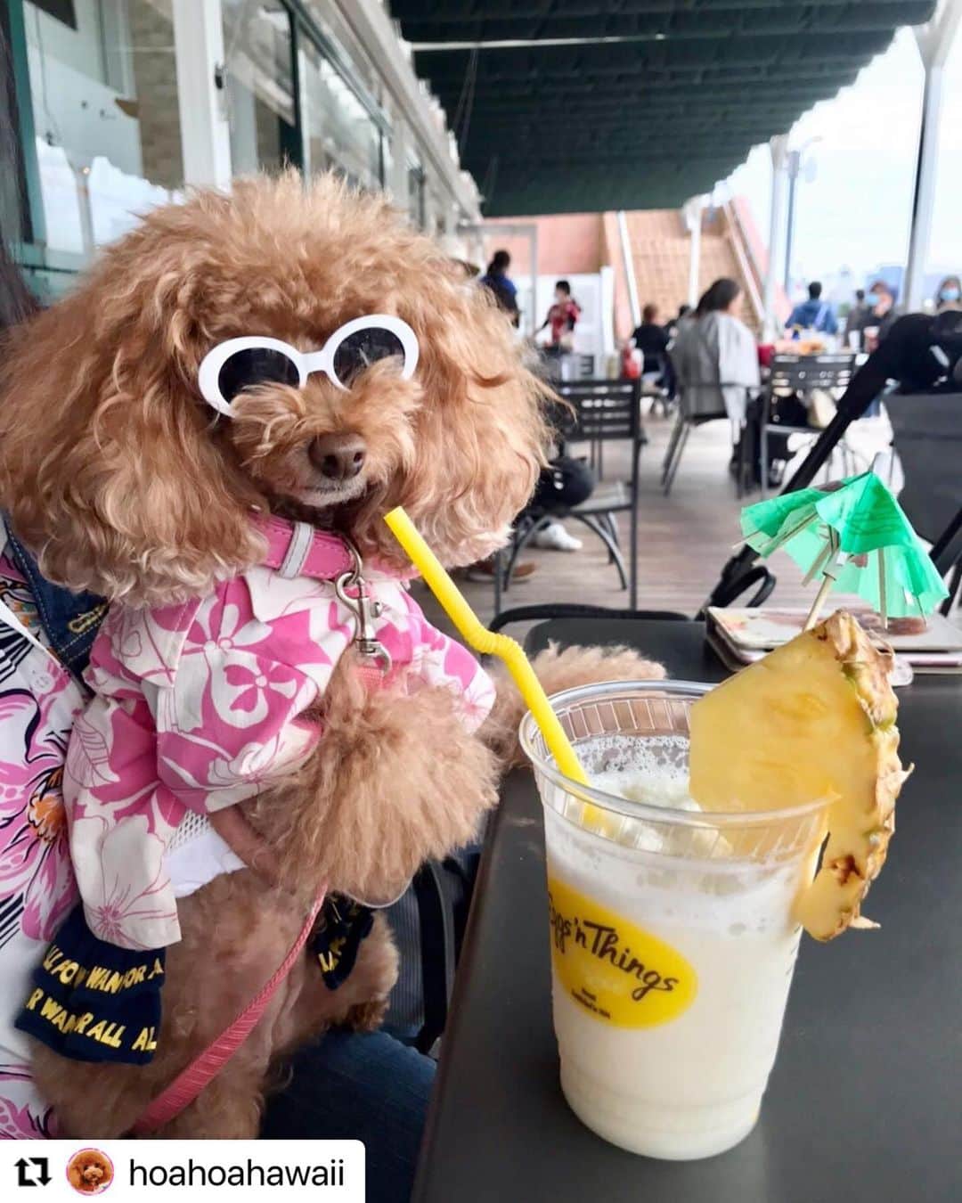 EGGS ’N THINGS JAPANのインスタグラム
