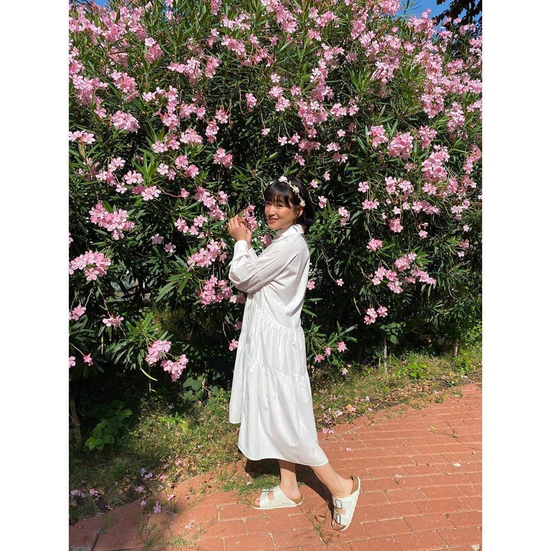 仲川遥香さんのインスタグラム写真 - (仲川遥香Instagram)「Keep smiling... Have a nice day!  #indonesia #jakarta #senin #harukanakagawa #インドネシアタレント #ジャカルタ在住 #９年目 #仲川遥香」11月2日 14時13分 - haruuuu_chan