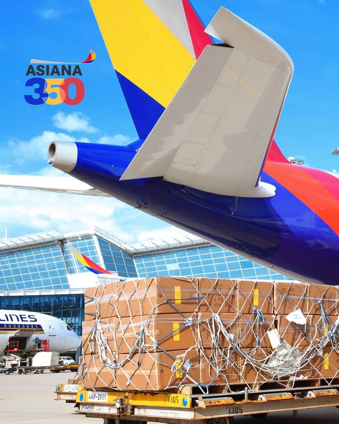 アシアナ航空日本地域公式アカウントさんのインスタグラム写真 - (アシアナ航空日本地域公式アカウントInstagram)「.﻿ 【 #アシアナ飛行機紹介 】 ﻿ ✈︎ A350-900 ✈ ﻿ ✈︎ 貨物機改造② ✈ ﻿ ﻿ 前回ご紹介した #A350-900 貨物機改造のつづき・・・。﻿ ﻿ 本日時点で保有している11機のA350のうち、２機を貨物機仕様へと一部改造しました。﻿ ﻿ この改造した貨物機は、今までにソウルからロサゼルスを始め、シアトル、シドニー、ベトナム、ネパール（不定期便）へ貨物を運んでいます。﻿ ﻿ 完全な貨物機ではないので、座席を取り外した場所への貨物搭載は、重機を使わず、大部分を人の手で行います。﻿ ﻿  また、アシアナ航空は、国際航空運送協会（IATA）より医薬品輸送品質認証 CEIV Pharma (The Center of Excellence for Independent Validators Pharma)を受けておりますので、今後医薬品の輸送にも寄与していきたいと思います。﻿ ﻿ ﻿ #アシアナ航空#アシアナ#アシアナ貨物#エアバス#airbus#A350#貨物#航空貨物#リニューアル#改造#ネパール」11月2日 14時36分 - asiana.jp_official