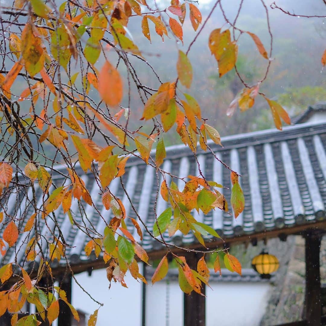 奈良 長谷寺 / nara hasederaのグルメインスタ