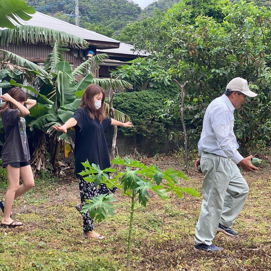 大田明奈さんのインスタグラム写真 - (大田明奈Instagram)「加計呂麻島自給自足生活 ・ 魚釣ったり、畑の島らっきょうや、なすび、パパイヤ、ピーマンを貰ったりお金を全然使うタイミングがなかった😂 私が泊まった渡連ってところは加計呂麻の中でもとびっきり綺麗なスポットでした💋 #渡連  #どれん #時給自足 #島らっきょう #鰹のタタキ　#調理方法　#勉強なります #漁師飯　 #ペンションきゅら浜」11月2日 15時02分 - moreakee