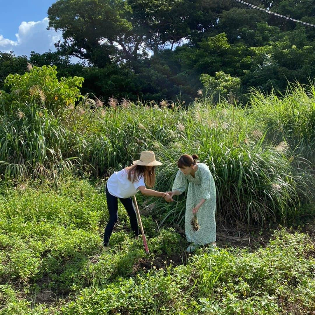 大田明奈さんのインスタグラム写真 - (大田明奈Instagram)「加計呂麻島自給自足生活 ・ 魚釣ったり、畑の島らっきょうや、なすび、パパイヤ、ピーマンを貰ったりお金を全然使うタイミングがなかった😂 私が泊まった渡連ってところは加計呂麻の中でもとびっきり綺麗なスポットでした💋 #渡連  #どれん #時給自足 #島らっきょう #鰹のタタキ　#調理方法　#勉強なります #漁師飯　 #ペンションきゅら浜」11月2日 15時02分 - moreakee