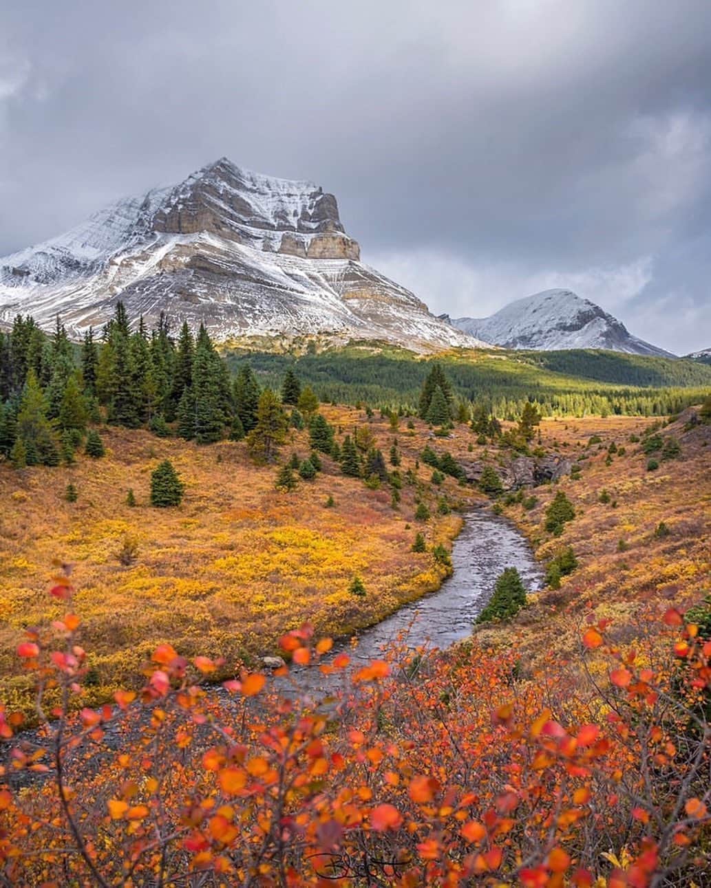 instagoodさんのインスタグラム写真 - (instagoodInstagram)「Backcountry Autumn Hike🍂  Location Canadian Rockies  Hello again! Brigid here from @rockymountainscrambler to share another of my favourite moments with you and a little about myself. I’m a Jr/Sr High School Math and Science Teacher in the beautiful mountain town of Jasper, Alberta. I take advantage of where I live by getting outside and adventuring as much as possible. I can even see down the famous Icefields Parkway from my bedroom window! If you have any questions for me about living in the Canadian Rockies, head on over to my account and ask away! This shot was taken on a backcountry trip this fall - if you go to my profile, you’ll see a link to my website where I’ve been uploading trip reports of my adventures. I’d love for you to check it out and let me know if you have any suggestions of trip reports you’d like to see!」11月2日 6時26分 - instagood