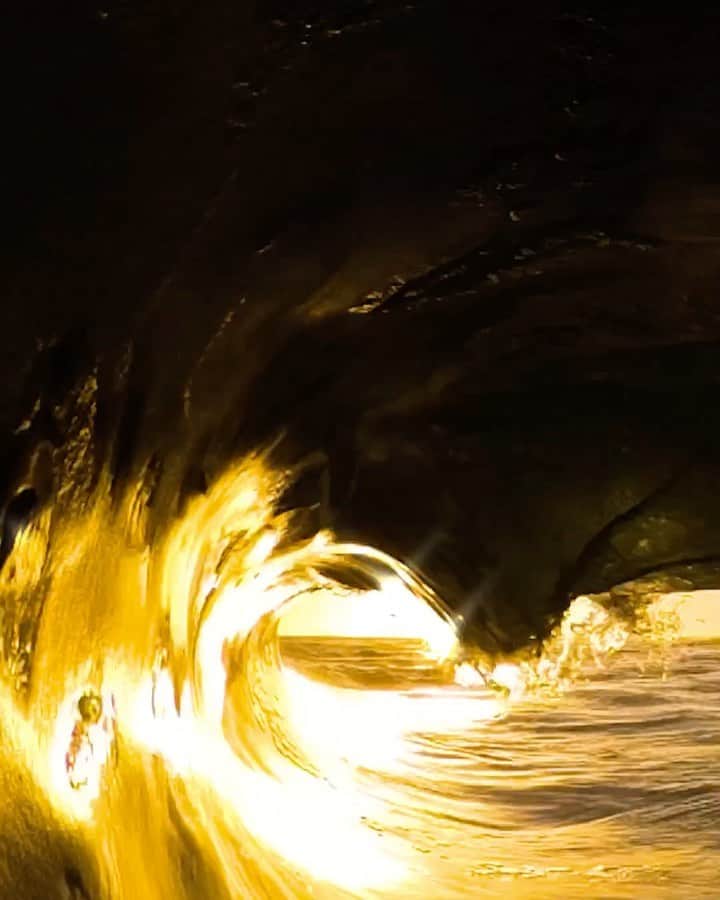 Robbie Crawfordのインスタグラム：「Golden @smkflwr #GoPro」