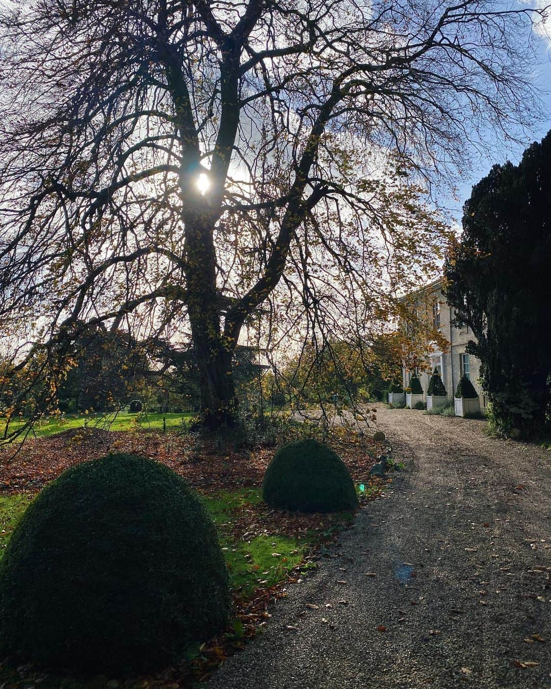 タニヤ・バーさんのインスタグラム写真 - (タニヤ・バーInstagram)「drove to the countryside today to see my family for a walk before we head into this second lockdown, also stopped by the first place I ever worked when I was 14 (Paddock Farm Shop) and took photos like a tourist outside 🤓 sending love to everyone, especially those of you having to lock down alone or in tough situations ♥️」11月2日 7時16分 - tanyaburr