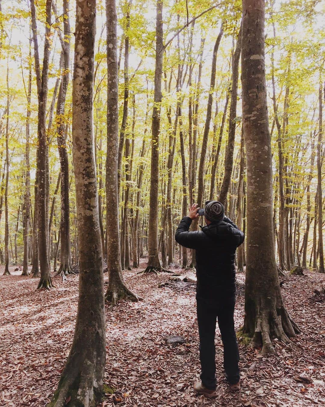 柏倉陽介さんのインスタグラム写真 - (柏倉陽介Instagram)「高ボッチから美人林。結局、一泊二日で何キロ走ったんだろう。ギリギリ天気がもってくれた。一人での撮影が多いので、人がたくさんいる撮影地の難しさが新鮮だった。」11月2日 7時55分 - yosuke_kashiwakura
