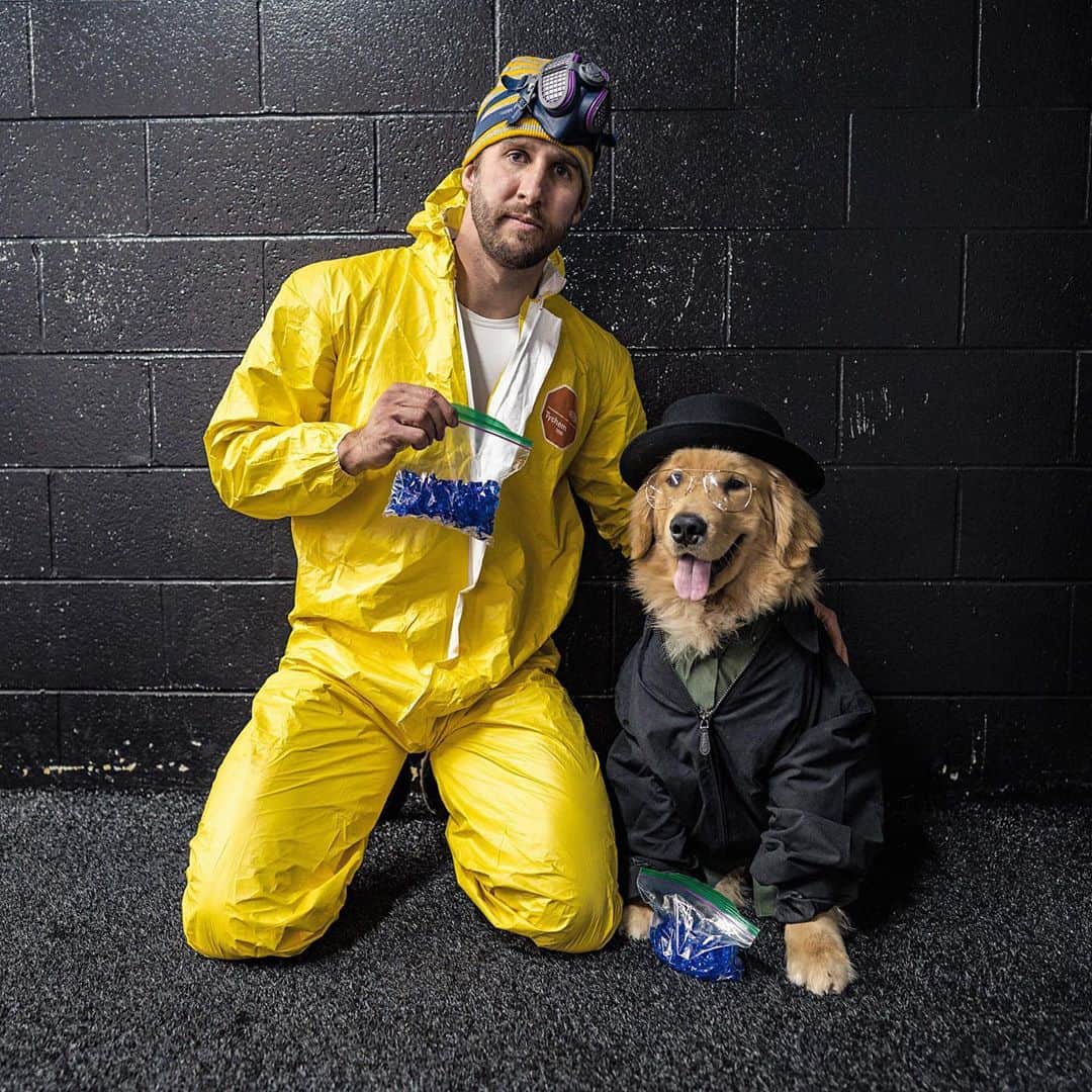 のインスタグラム：「“Say my name ..” - @walterboothdog x @breakingbad . #heisenberg #breakingbad #walterwhite #jessepinkman」