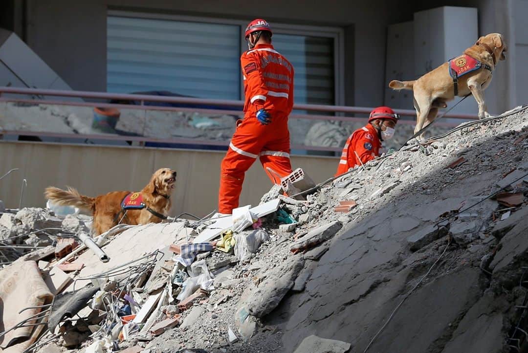 NBC Newsさんのインスタグラム写真 - (NBC NewsInstagram)「Ahmet Citim, 70, was pulled out of the rubble of a collapsed building and hospitalized on Sunday as rescue workers with sniffer dogs continue to search for survivors in Western Turkey.⁠ ⁠ Turkey and Greece were struck Friday by a strong earthquake in the Aegean Sea, killing at least 57 people and injuring more than 900. The tremors were felt across western Turkey, including Istanbul, as well as in the Greek capital of Athens. Tap the link in bio for more.⁠ ⁠ 📷 Darko Bandic / @apnews」11月2日 8時32分 - nbcnews