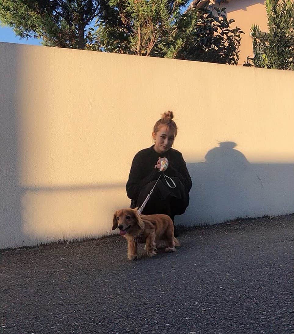 七原月乃のインスタグラム：「🐾 ・ ・ ・ #いぬのきもち」