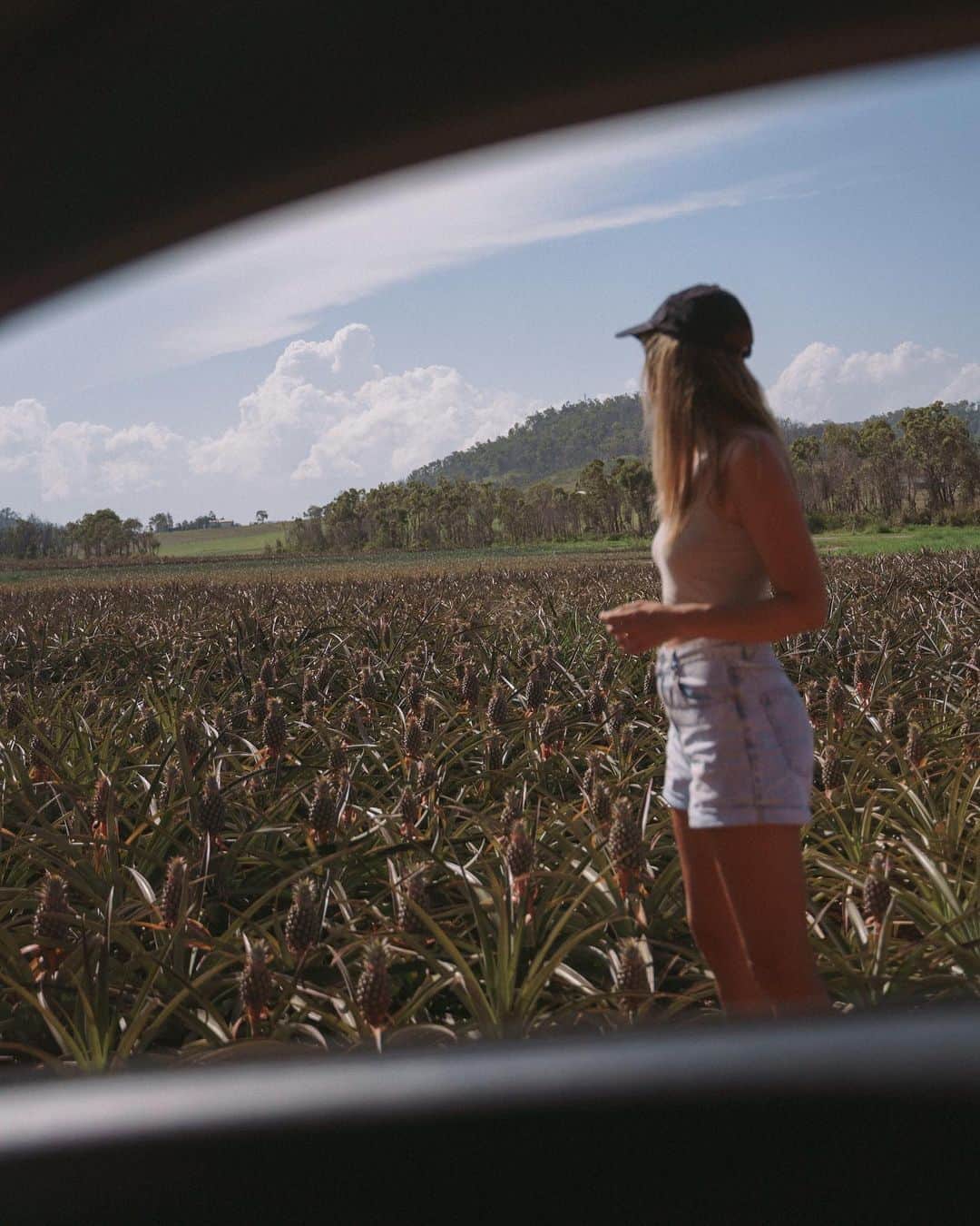 COTTON ONさんのインスタグラム写真 - (COTTON ONInstagram)「🌞 DAY 3: A weekend exploring Capricorn Coast, QLD 🌞 LATE PM: Back in Yeppoon, we’re squeezing in a farm tour at @puregoldpineapples before setting off home 🍍🚘  Ready to plan your own @emptyesky road trip? Click the link in our bio to check out our directory (!!)   @emptyesky @christinamacpherson @tompaterson_nz #CottonOnXEmptyEsky #CottonOnLovesLocal」11月2日 15時19分 - cottonon