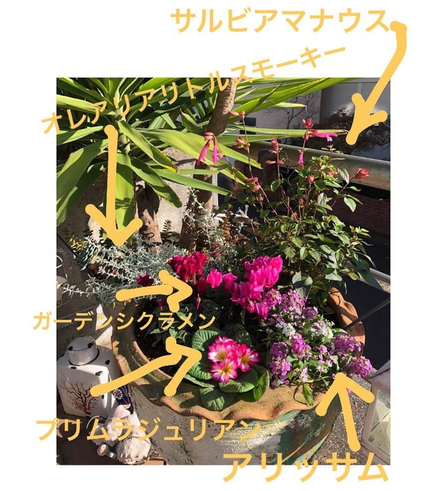 黒沢あすかのインスタグラム