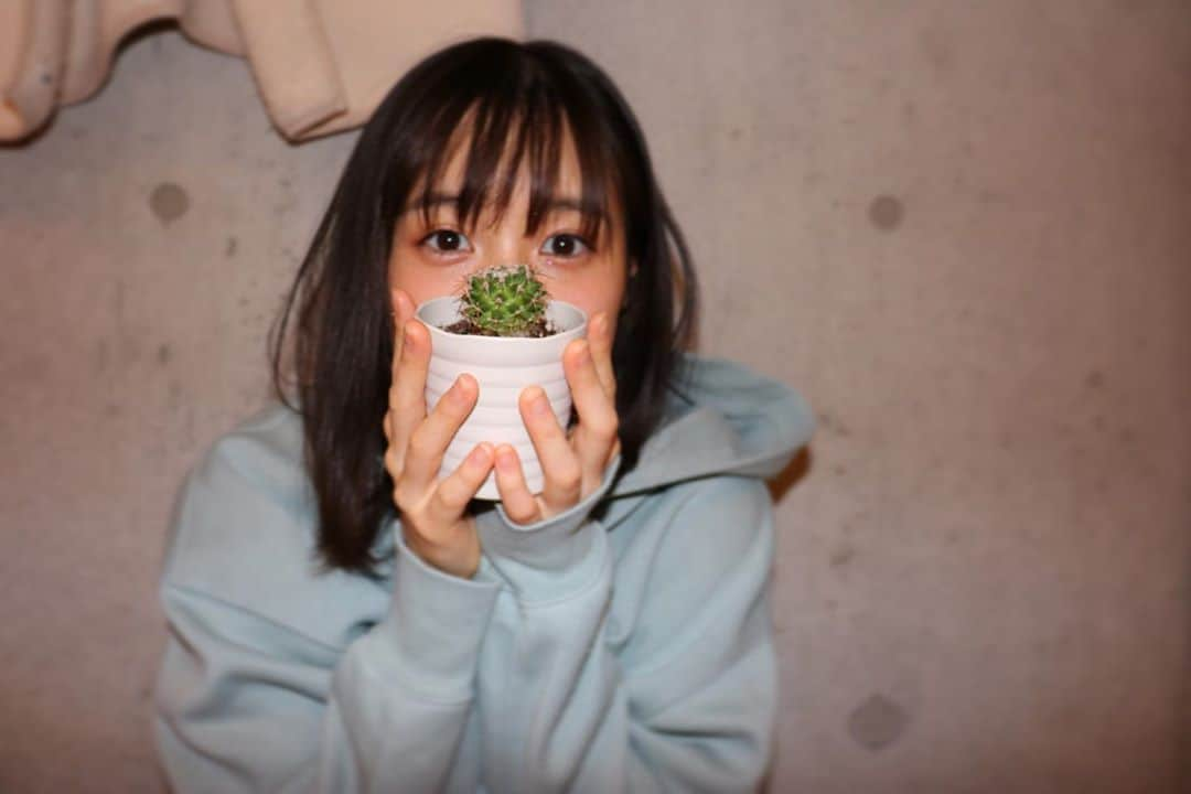 中崎絵梨奈さんのインスタグラム写真 - (中崎絵梨奈Instagram)「おはよう🌵 サボテンちゃん うちの「ボンボン」です🌵  成長してるようで成長してない 成長してないようで成長してる  そんな絶妙な時期。  冬は過剰にお世話しないことも 大事なんだとか。  春と秋にぐんっと成長するための休息期。  私も我慢強く今を頑張ろう。  #サボテン　#多肉植物のある暮らし  #多肉植物初心者 #観葉植物  #観葉植物のある生活」11月2日 10時08分 - nakazaki_erina