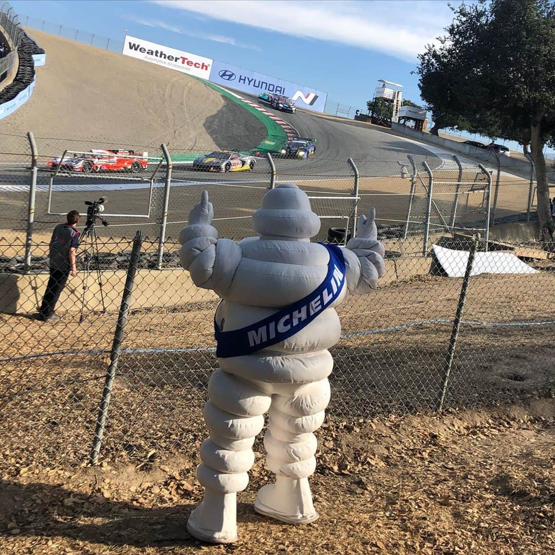 ミシュランさんのインスタグラム写真 - (ミシュランInstagram)「Seeing the winners through the trees. Congrats to Acura, Porsche, Penske and Meyer Shank with their wins in Monterey for the second-to-last @imsa_racing weekend of the year! #IMSA #IMSAMonterey」11月2日 10時19分 - michelinusa