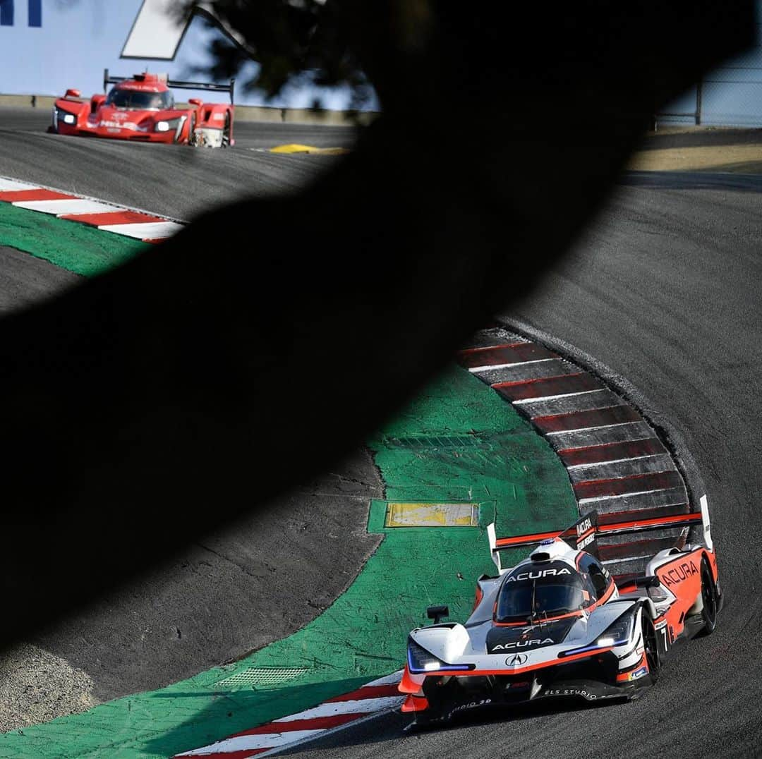 ミシュランのインスタグラム：「Seeing the winners through the trees. Congrats to Acura, Porsche, Penske and Meyer Shank with their wins in Monterey for the second-to-last @imsa_racing weekend of the year! #IMSA #IMSAMonterey」