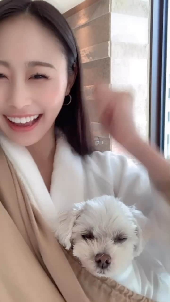 長沼南帆のインスタグラム：「おはようでやんす😚♥️ #おはようでやんす　#gm #おはようございます　#マルチーズ　#親バカ　#maltese #しあわせな」