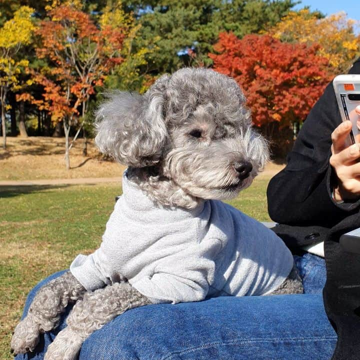 ショリのインスタグラム