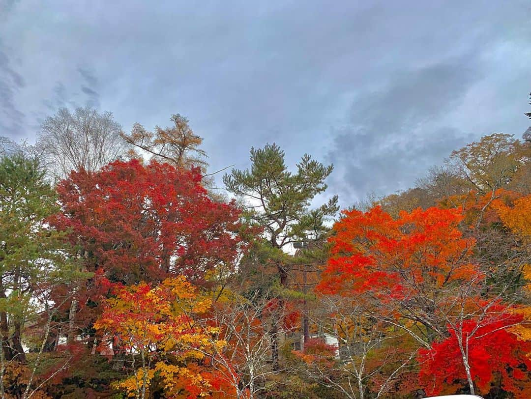 ソフィアさんのインスタグラム写真 - (ソフィアInstagram)「中禅寺湖の紅葉綺麗すぎた🥺」11月2日 11時43分 - sofia_shikibu