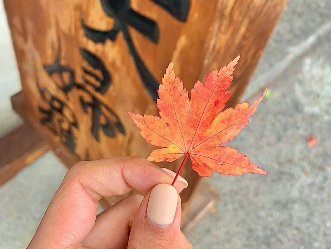 ソフィアさんのインスタグラム写真 - (ソフィアInstagram)「中禅寺湖の紅葉綺麗すぎた🥺」11月2日 11時43分 - sofia_shikibu