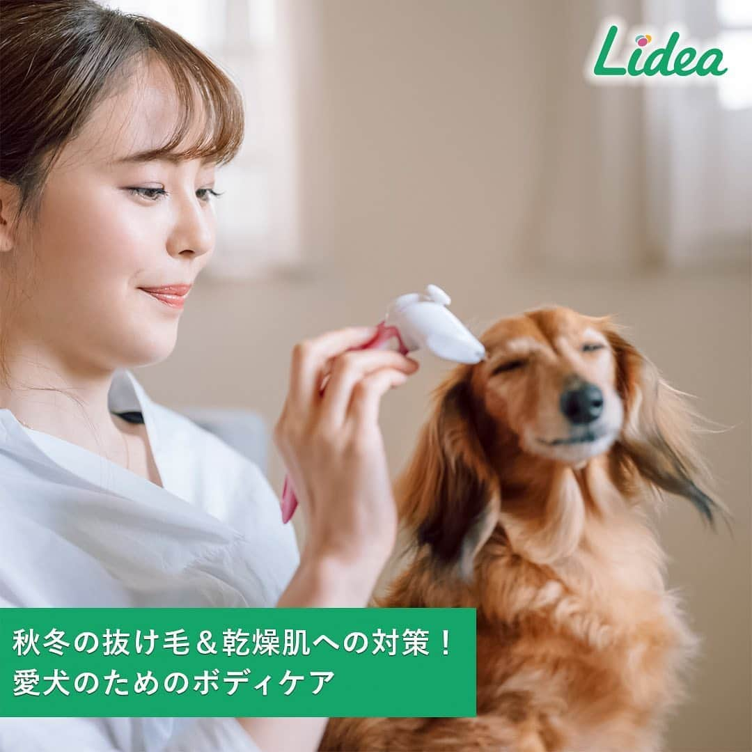 irodori - くらしを彩るウェブマガジン -さんのインスタグラム写真 - (irodori - くらしを彩るウェブマガジン -Instagram)「愛犬を抱っこした後、 「毛がごっそり洋服に😨❕❕」なんて 犬の抜け毛が気になる季節になりましたね🐶 ・ 最大の抜け毛対策は、なんといっても「ブラッシング」☝ ・ 「毛は放っておいても抜け落ちる」と思いがちですが、 抜けたのにとどまっている毛を放っておくと、 残る毛に絡んで毛玉になり、皮膚に悪影響を及ぼすことも💦 ・ 特に換毛期は毎日ブラッシングをして、 余分な毛が体に残らないようにしてあげると良いですよ☺ ・ 🔴あなどれない！ブラッシングの10の効果♪ ①被毛についたほこりや花粉、ノミ、ダニを取る😵 ②被毛の絡まりをほぐす🐕 ③抜け毛を除去して、体温調節しやすくする🔥 ④キューティクルを整え、毛のつやを良くする✨ ⑤肌を刺激することによるマッサージ効果🌼 ⑥マッサージ作用で新陳代謝が良くなる💧 ⑦マッサージ作用で血行を促進する🩸 ⑧毛穴に詰まった皮脂を引き出して、落としやすくする🐩 ⑨スキンシップにより、飼い主さんの愛情を伝える💕 ⑩肌の状態の変化を早めに見つけられる👀 ・ ブラッシングスプレーを使えば、抜け毛をやさしく取り除き、 抜け毛の舞い散りを抑えられるのでおすすめ💁‍♀️ ・ こまめにケアすれば、愛犬の健康維持に加えて、 お部屋の掃除も楽になりそうですね☺ ・ 生活情報メディア「Lidea」では、 「愛犬のためのボディケア」について紹介しています。 プロフィールのリンクからどうぞ☘ @lidea_lion ・ #Lidea #LION #ライオン #ライオン株式会社 #犬 #わんこ #ワンちゃん #抜け毛 #ブラッシング #犬好きな人と繋がりたい #犬のいる生活 #わんこ部 #愛犬 #いぬすたぐらむ #ドッグスタグラム #ブラッシングスプレー #ライオンペット #lionpet 　@lion_pet_dog」11月2日 12時01分 - lidea_lion