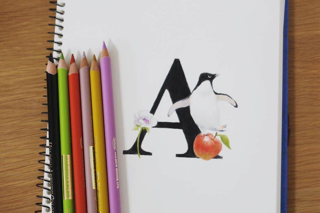 Tomoko Shintaniのインスタグラム：「Letters “A”🤗 . #久々 #letters #adeliepenguin #apple #anemone #holbeinartistscoloredpencil #karismacolorpencils」