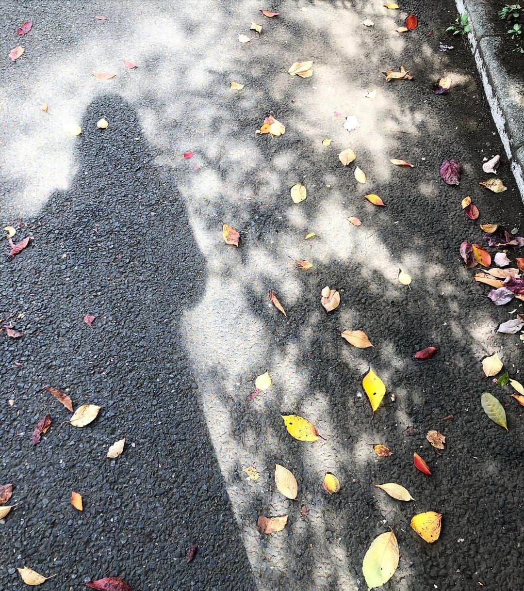 阿部洋子さんのインスタグラム写真 - (阿部洋子Instagram)「🍁 秋なのね。 手とくちびるが乾燥するー  #autumn  #tokyotower   健康診断、今年も無事しゅーりょー！ ま、結果はいつも悪いのだけど💦」11月2日 13時19分 - hirocoring