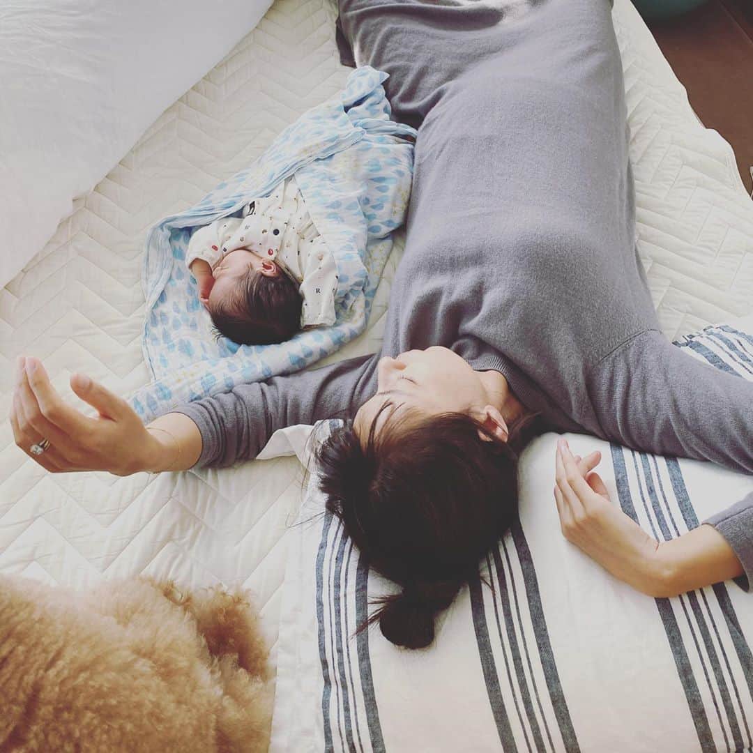 小泉里子のインスタグラム：「生まれました！  冗談です😅  先月、生まれたら甥っ子くんです。 あと数ヶ月したら私もこんな風にお世話するんだなと、いろいろ学べます。 ただ、この子はずーっと寝てるので、こりゃ楽だな〜と思ってしまってる…。  昨日は、沢山の温かいコメント本当にありがとうございます。 読みながら涙涙でした。 こんなにも温かい言葉をもらって、改めて妊娠した喜びを感じています。 本当に本当に感謝です。」