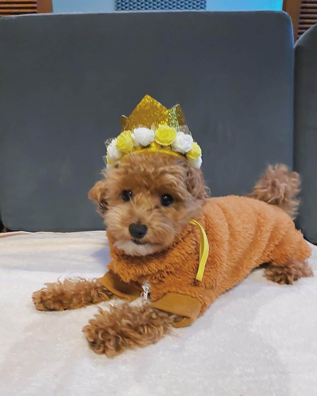 Cody Higaのグルメインスタ