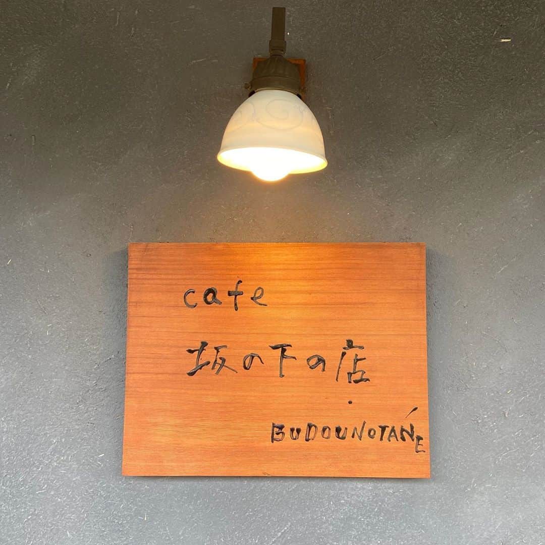 駒田京伽さんのインスタグラム写真 - (駒田京伽Instagram)「✨🍱✨  たまにはご飯の画像でも…🧸  初めて行ったお店✨ 美味しすぎるし、街並み凄くいいし ゆっくりできた1日〜✨  なんか健康的なご飯で 0キロカロリーやった(?)  ここのカフェの上にある所も 凄く気になったけど 満席で並んでる方もいたので断念🥺  美味しかったから満足💐  #福岡カフェ #福岡 #うきは市#うきはカフェ  #ぶどうのたね  #坂の下の店 #福岡ランチ」11月2日 23時01分 - hiroka_komada
