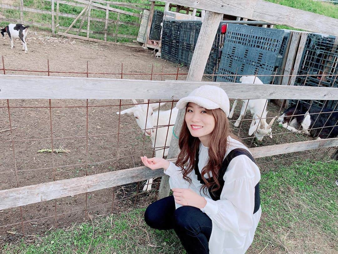 永山飛鳥のインスタグラム：「かわいいヤギたち🐐✨ ボスヤギは迫力ありました!!  #ヤギ　#えさやり」