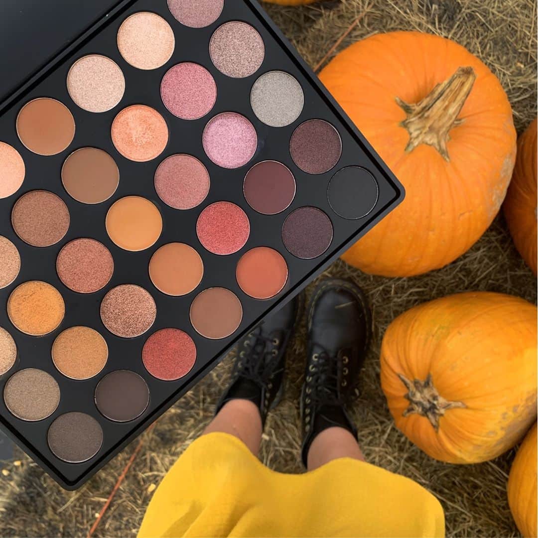 Palladio Beautyさんのインスタグラム写真 - (Palladio BeautyInstagram)「Took our palette out to the pumpkin patch today, she loved it! The pumpkins really made her eyes stand out. What do you think? 🍂✨  #PalladioBeauty #Fall #UltimateProFallShadowPalette」11月2日 23時01分 - palladiobeauty