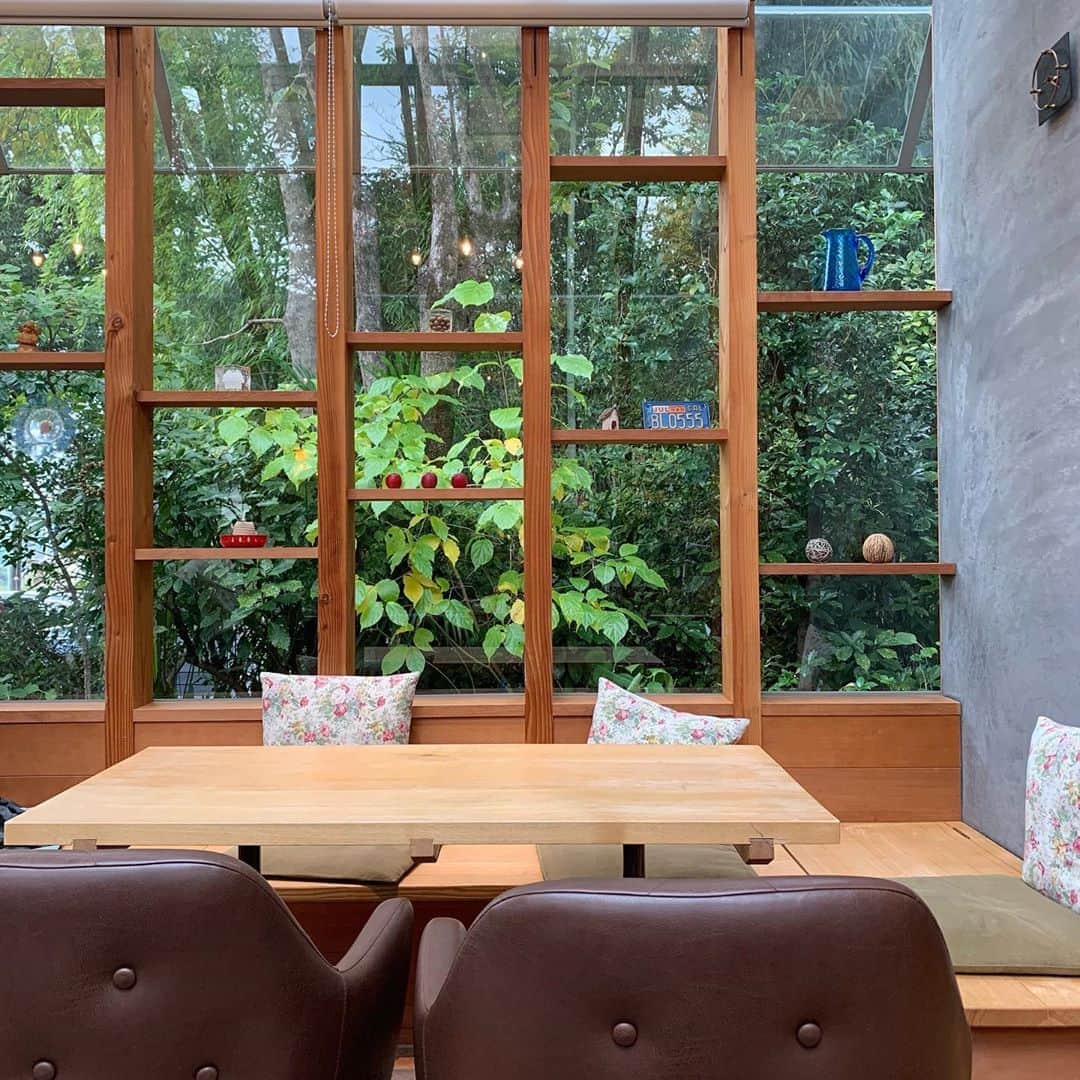 サキのグルメインスタ