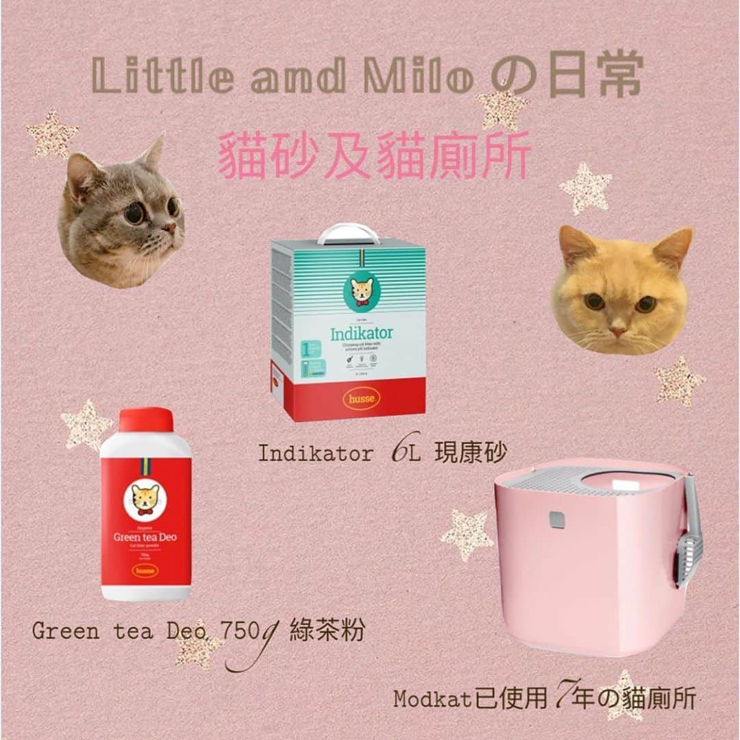 Little & Miloさんのインスタグラム写真 - (Little & MiloInstagram)「ฅ(⌯͒• ɪ •⌯͒)ฅ❤︎ฅ(⌯͒•·̫•⌯͒)ฅ *𝕃𝕚𝕥𝕥𝕝𝕖 𝕒𝕟𝕕 𝕄𝕚𝕝𝕠 の日常* 貓砂と貓廁所  ⋆.*⃝̥◌ 好物分享ᒻ°ᵛᵉ ॱ◌̥*⃝̣ ⋆   𝙸𝚗𝚍𝚒𝚔𝚊𝚝𝚘𝚛 𝟽𝙻 現康砂 -凝結力特強，可檢測貓咪尿液   pH酸鹼值的貓砂。 -使用時不會有大量粉塵砂，可以   保護貓咪眼仔  𝙶𝚛𝚎𝚎𝚗 𝚝𝚎𝚊 𝙳𝚎𝚘 𝟽𝟻𝟶𝚐 綠茶粉 -貓砂除臭劑，含天然礦物粉及清   新綠茶香味 -癖味比較持久  𝙼𝚘𝚍𝚔𝚊𝚝已使用7年の貓廁所 -純粹靚同唔會飛哂啲砂出嚟  ☆★☆★☆★☆★☆☆★☆★☆★  自𝗉𝗈𝗌𝗍 完𝖫𝗂𝗍𝗍𝗅𝖾辦大事◡̈ 嘅影片之後，不斷有收到來自香港、台灣、日本⋯等不同國家嘅貓奴𝖣𝖬 𝖺𝗇𝖽 𝖨𝗇𝖻𝗈𝗑，內容查詢𝖫𝗂𝗍𝗍𝗅𝖾 𝖺𝗇𝖽 𝖬𝗂𝗅𝗈一直使用の貓砂及貓糧⋯⋯等其他日常使用の用品  由於很多貓奴亦跟本貓奴一樣…因為疫情嚴重期間，一直所使用嘅貓砂曾出現斷貨，而且嘗試轉用其他⋯⋯又未能夠癖味，又或者使用時好多粉麈影響主子眼仔～♡  感恩◟̆◞̆♡ 𝖫𝗂𝗍𝗍𝗅𝖾 𝖺𝗇𝖽 𝖬𝗂𝗅𝗈'𝗌貓奴喺回覆大家⋯同時認識到很多好有愛嘅貓奴，而且互相交流嘅時候，還鼓勵我可以…以好物分享嘅形式，向大家分享𝖫𝗂𝗍𝗍𝗅𝖾 𝖺𝗇𝖽 𝖬𝗂𝗅𝗈の日常～♡♥♡♥  #LittleMilo #littlemilo #マンチカン #短い手足 #munchkin #munchkincat  #好物分享 #貓奴分享 #貓砂 #貓廁所 #猫砂とトイ #littleandmiloの分享 佢#modkat #husse #happyshare #猫好きな人と繋がりたい   Instagram: https://www.instagram.com/little_milo_munchkin Facebook: http://facebook.com/i.am.little.milo Twitter: https://twitter.com/i_am_littlemilo」11月2日 23時14分 - little_milo_munchkin